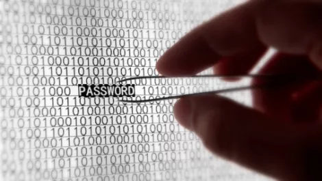 Cyber-security concerns growing in NZ