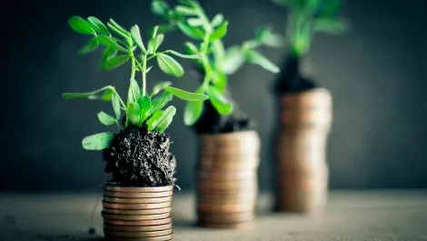 Rhipe returns to profit as licensing revenue, SEA business grows