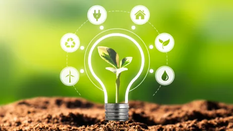 BAI aims to reach net-zero by 2040 with new program