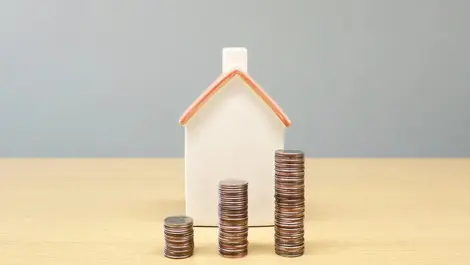 New Zealand’s most expensive housing market hits new record